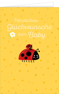 Babykarte Marienkäfer