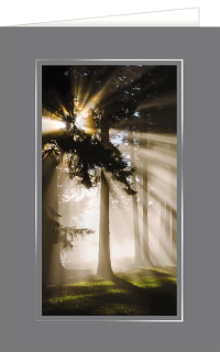 Trauerkarte Wald mit Sonnenstrahlen